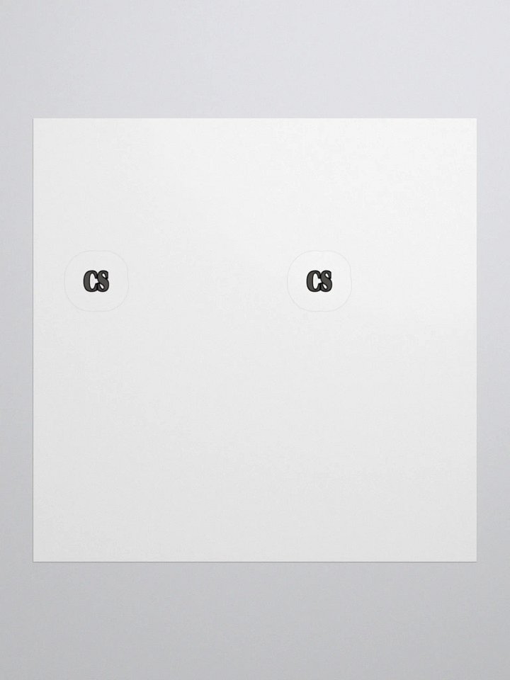 CS Stealth Stickers 2PK product image (1)