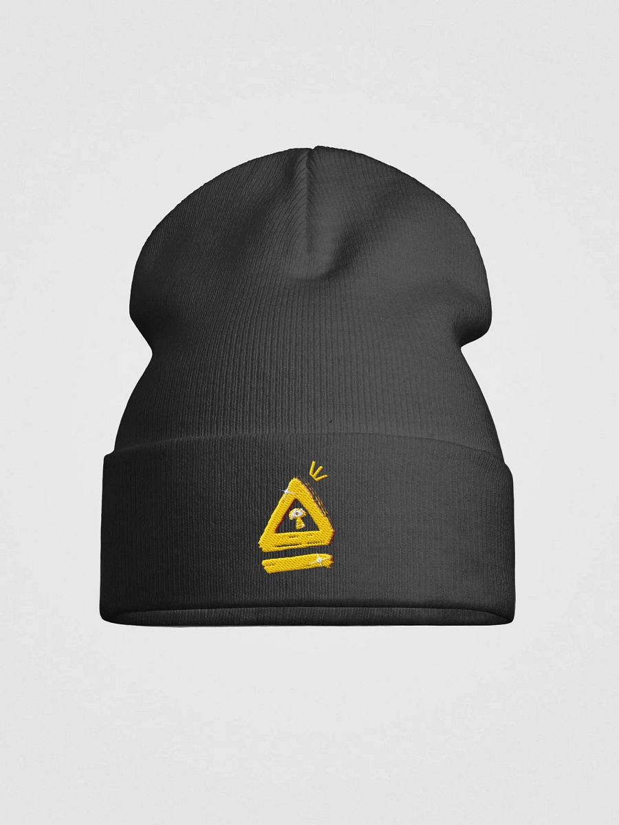 Anima Alumni Beanie! product image (1)