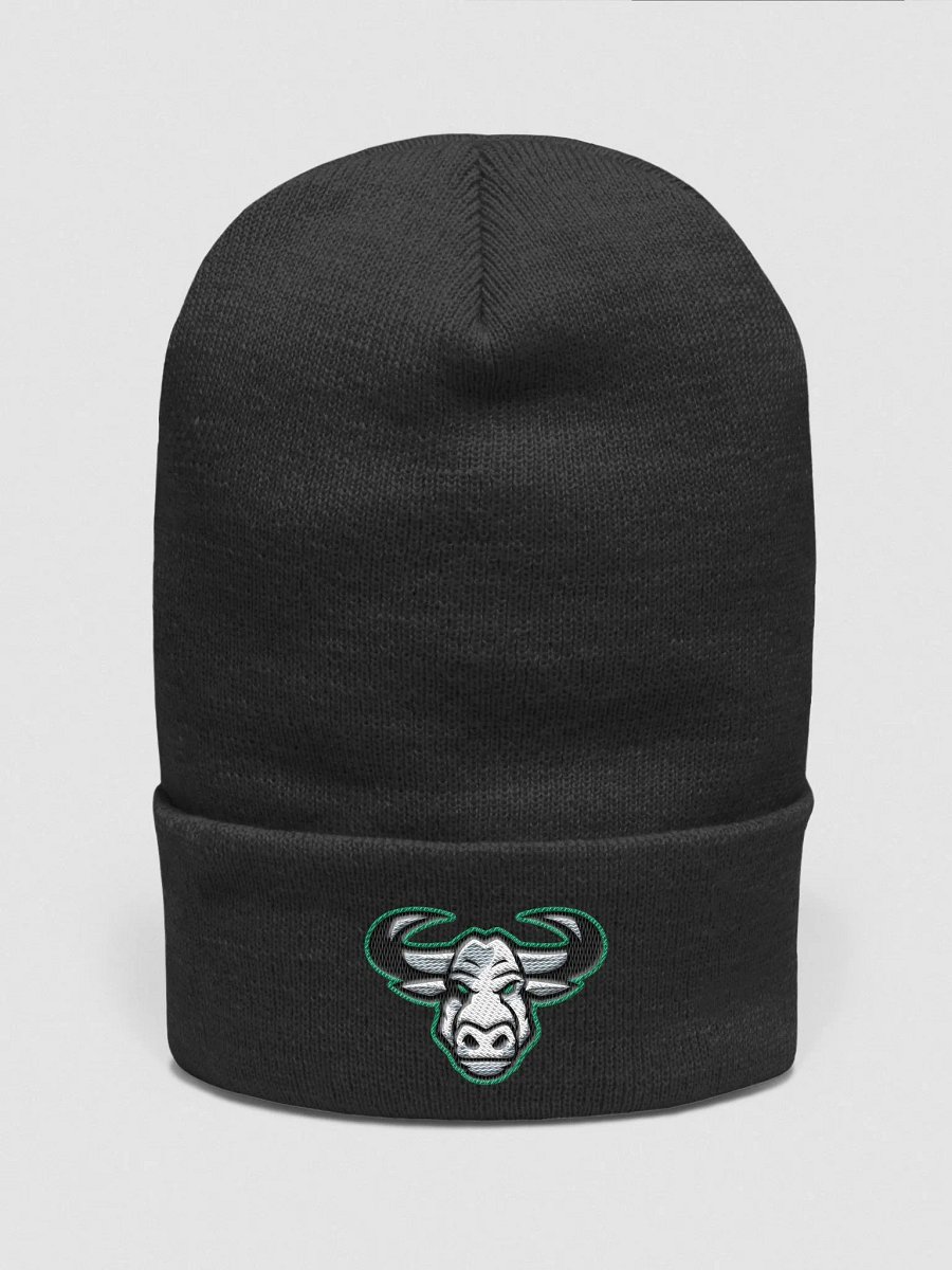 Beanie product image (1)