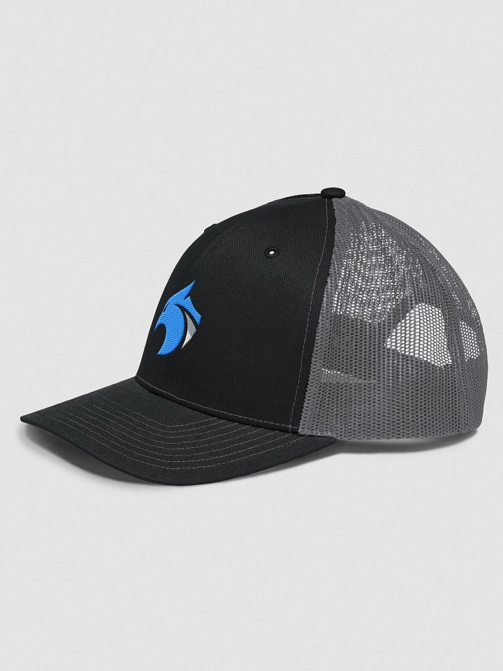 Richardson Style Dirty Logo product image (2)