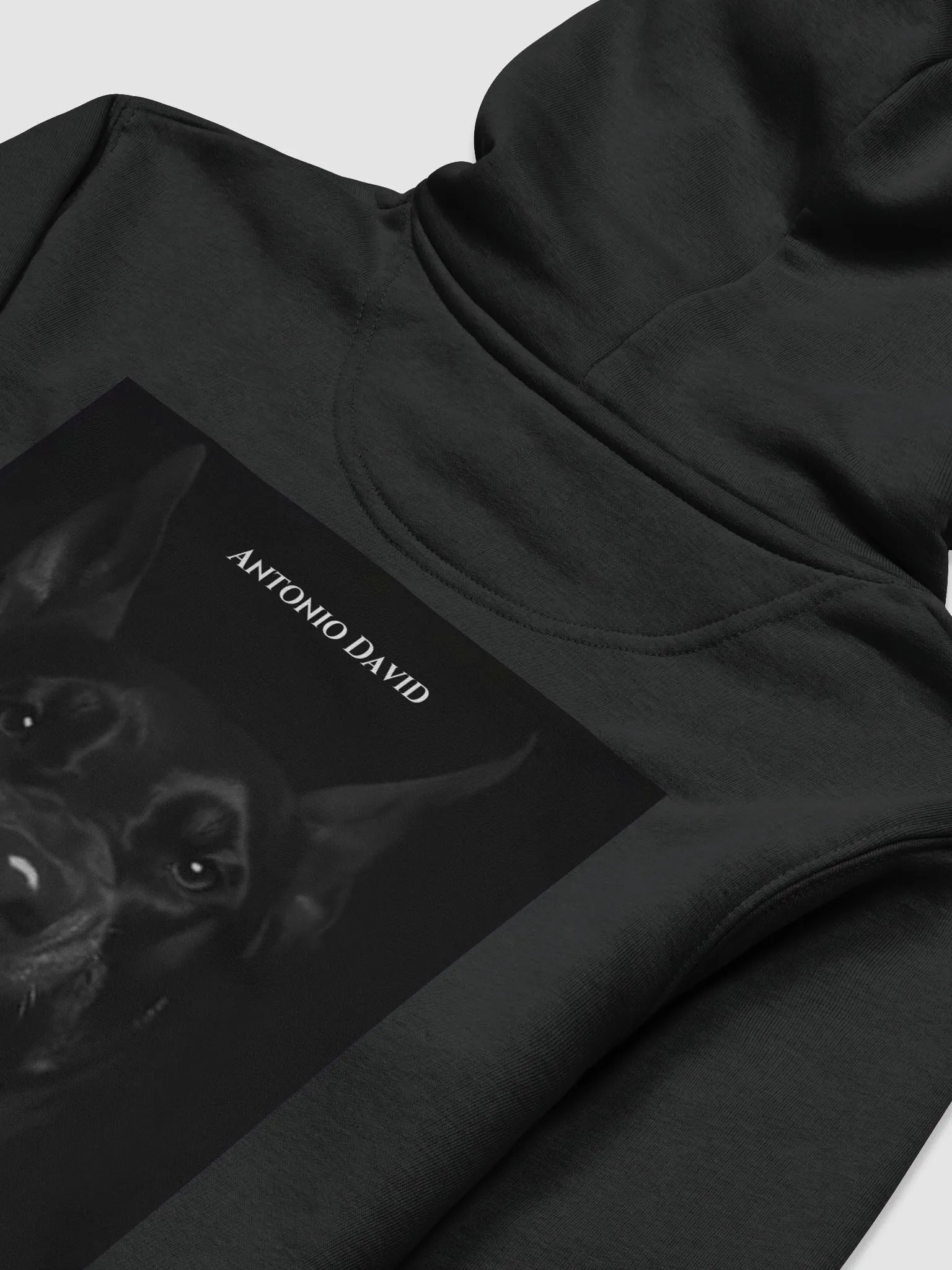 Besat Hoodie product image (3)