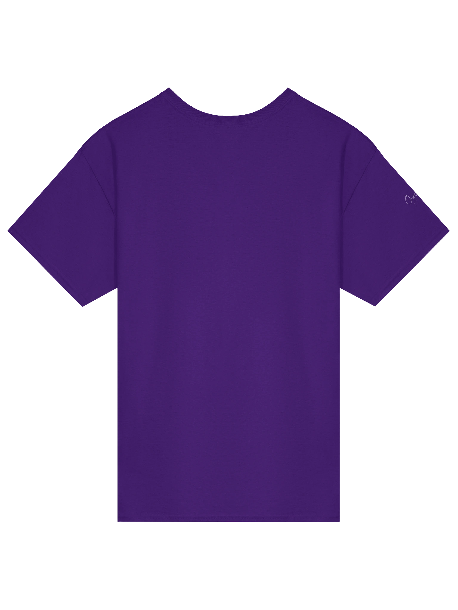 Queendom Heavyweight Tee product image (2)