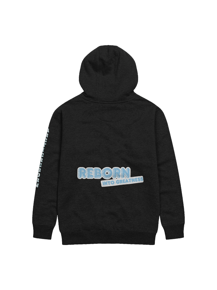 AR Logo Unisex Premium Hoodie product image (4)