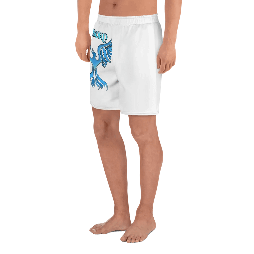 Ice Reborn phoenix product image (4)