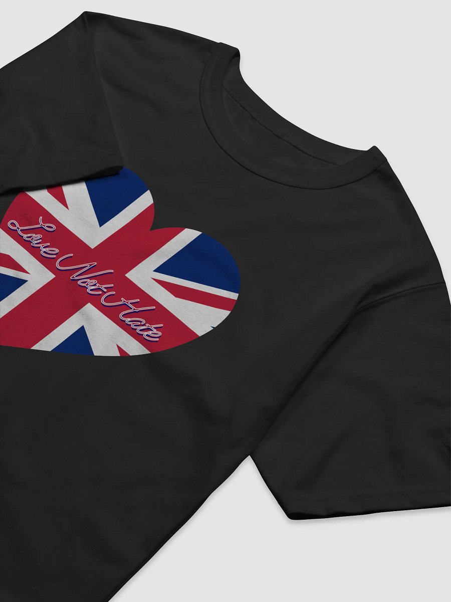 Love Not Hate T-Shirt Champion product image (11)