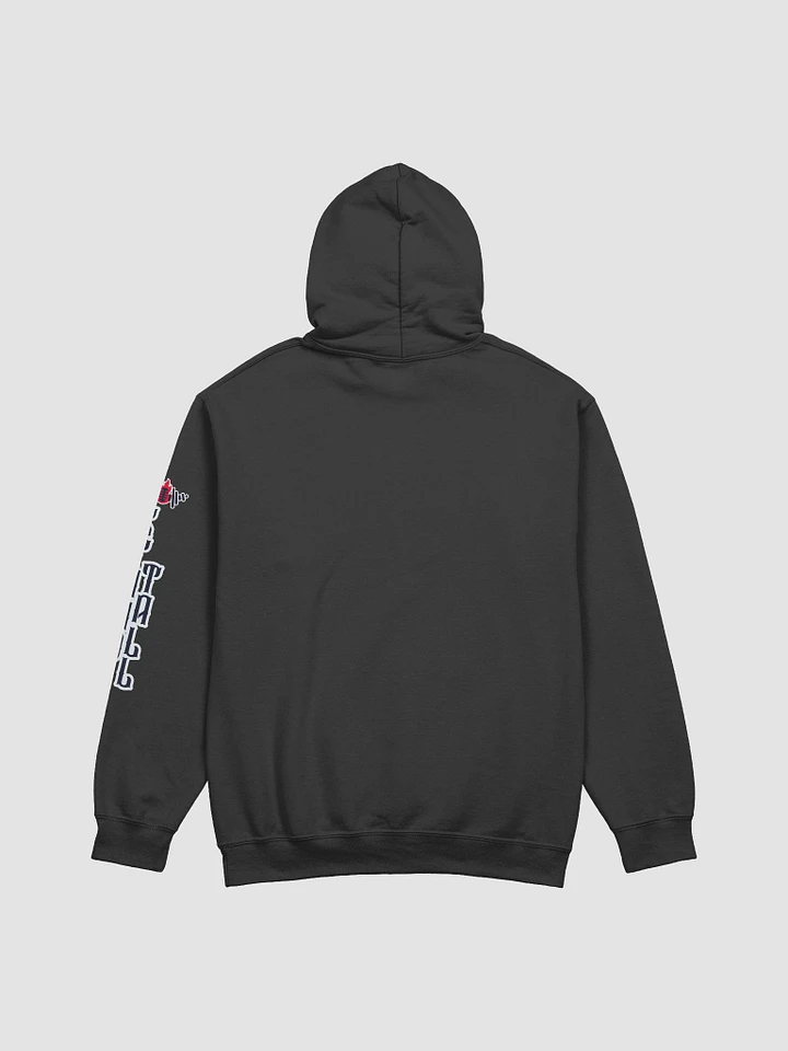 WFO Classic Hoodie product image (8)