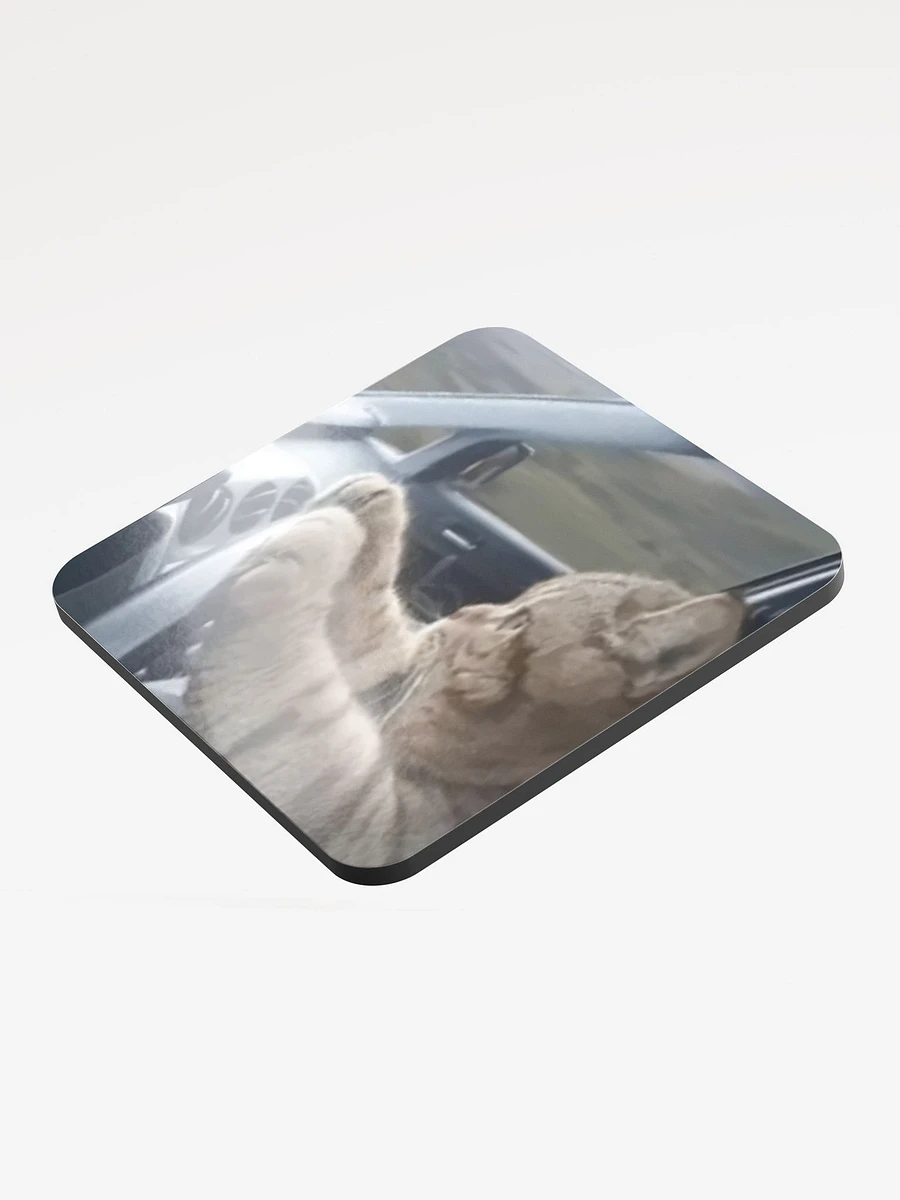 Glossed Cork Coaster: Meme Cats product image (3)