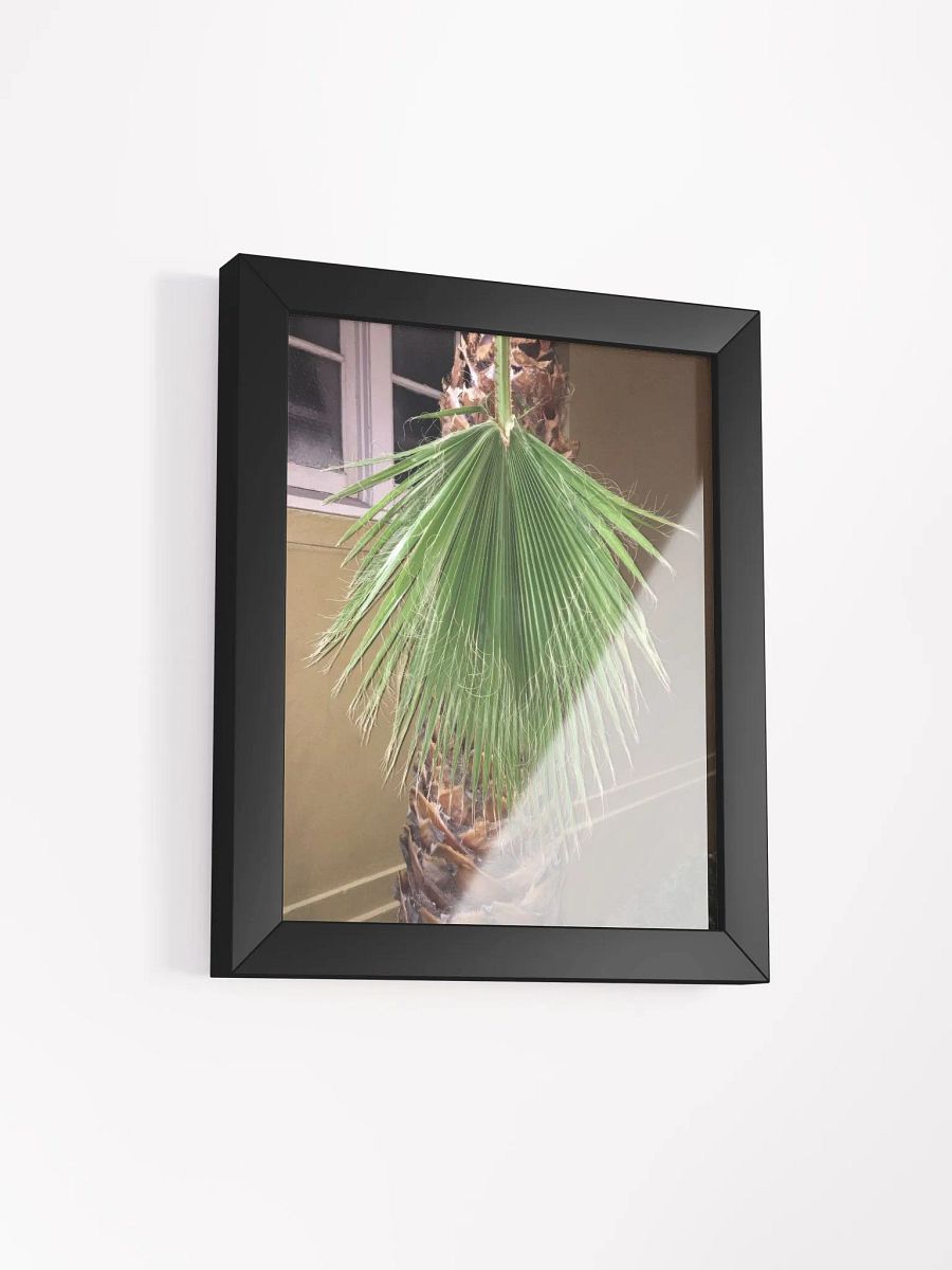 Lura product image (2)