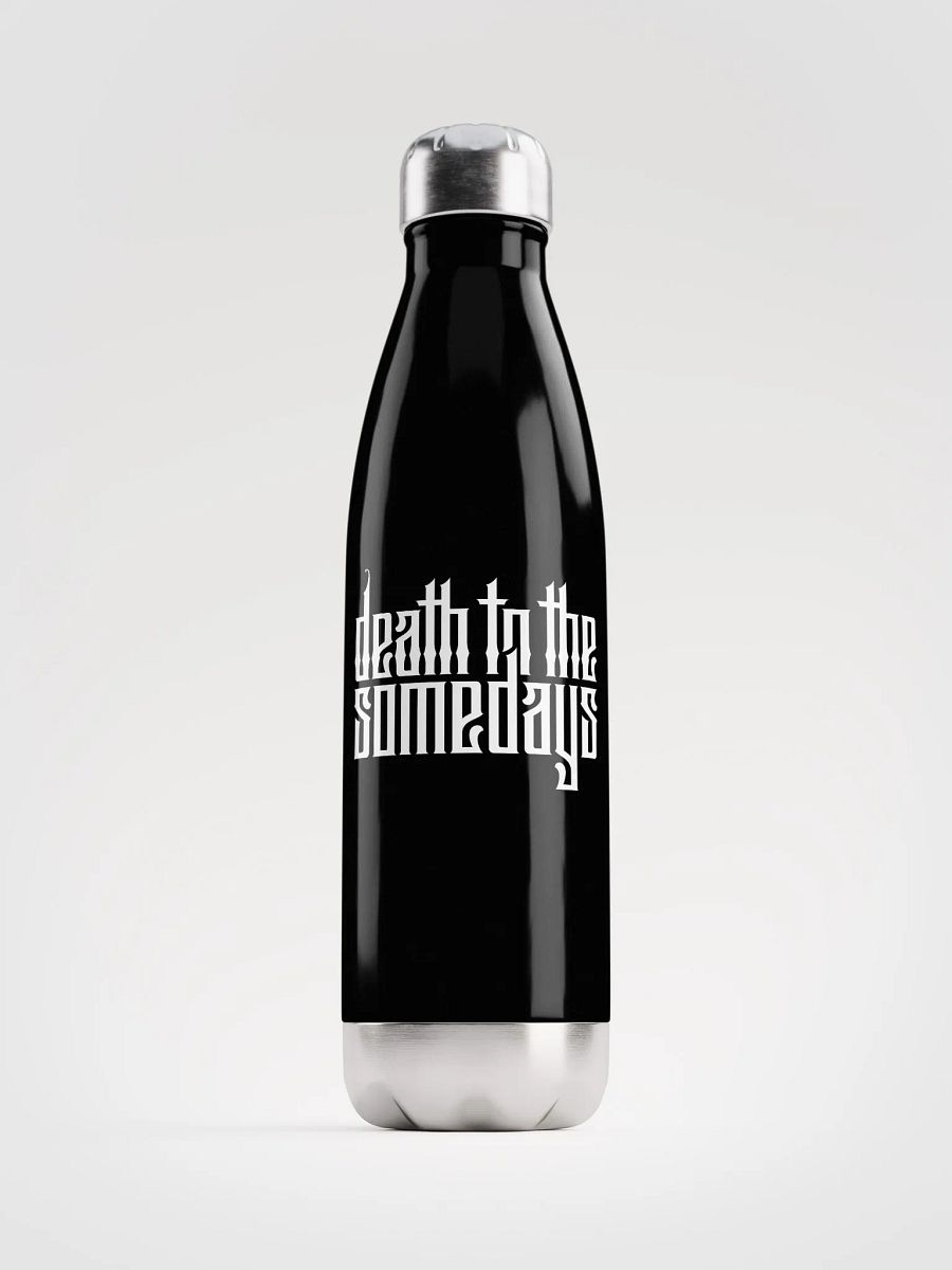 DTTS Stainless Steel Bottle product image (1)