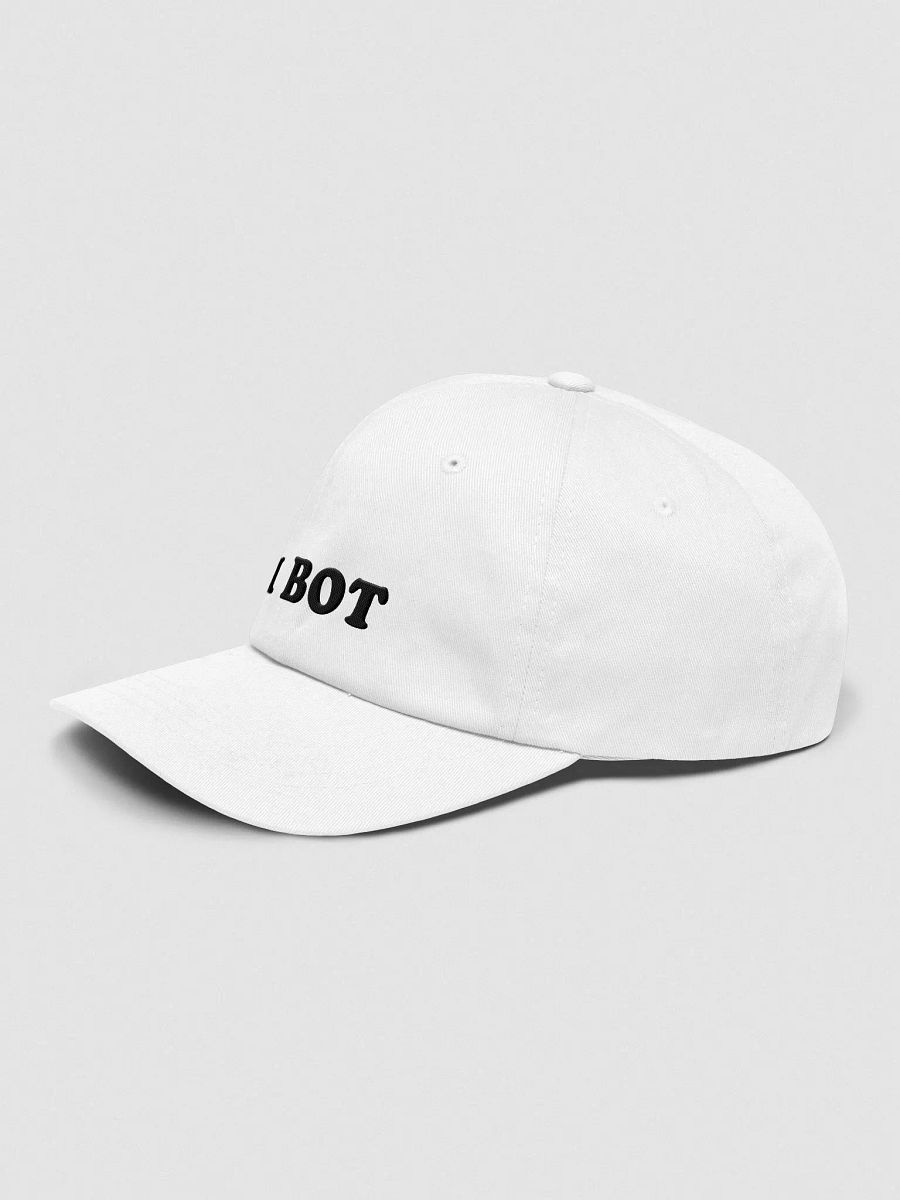 #1 BOT CAP product image (3)