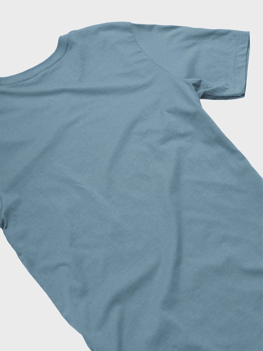 Supersoft and Flattering Lightweight tee: P is for Pooky product image (4)