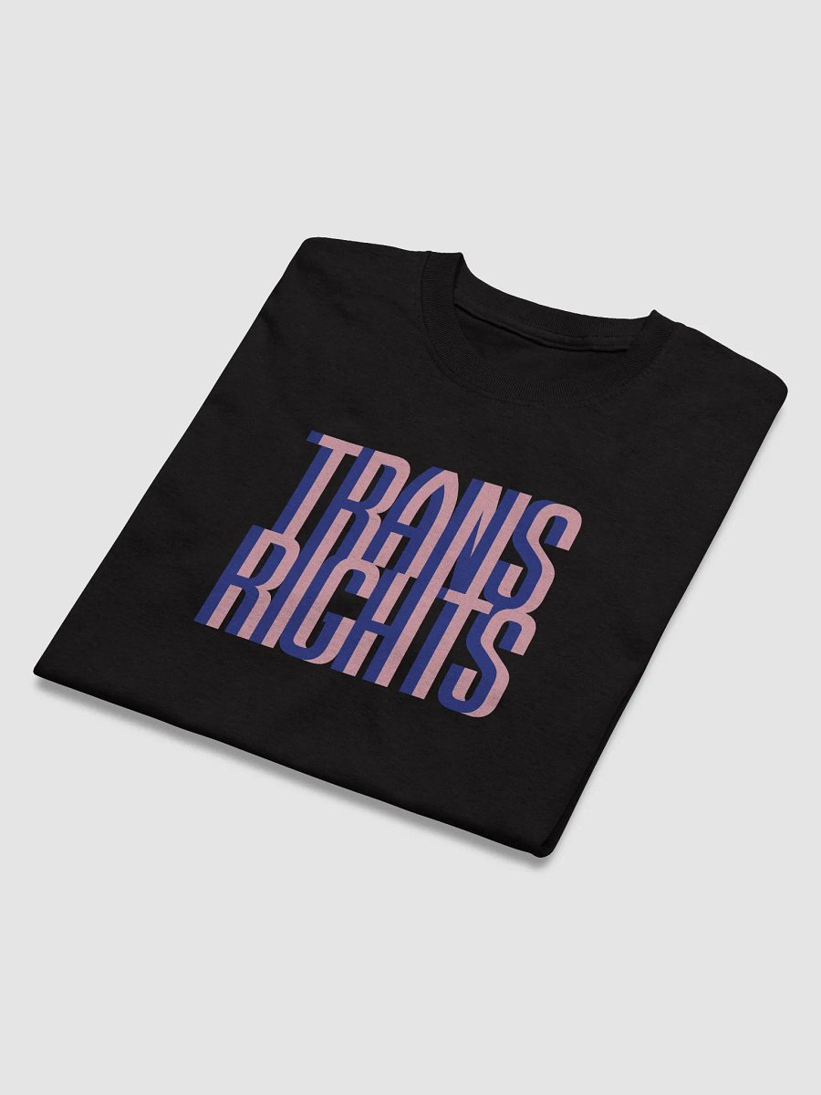 Trans Rights T-shirt product image (3)