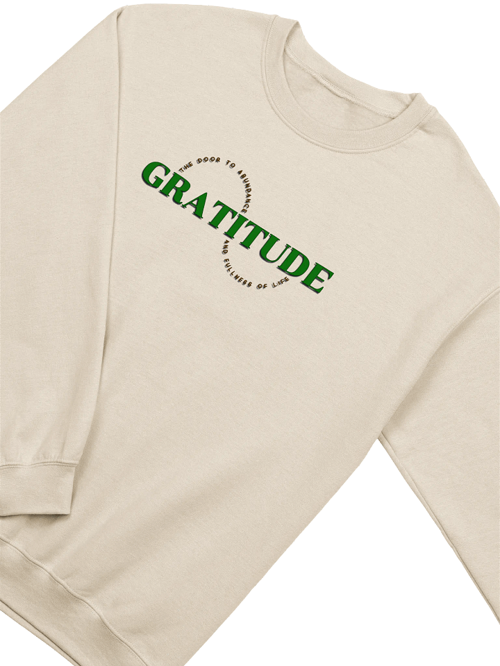Gratitude Doorway Crewneck Sweatshirt product image (30)