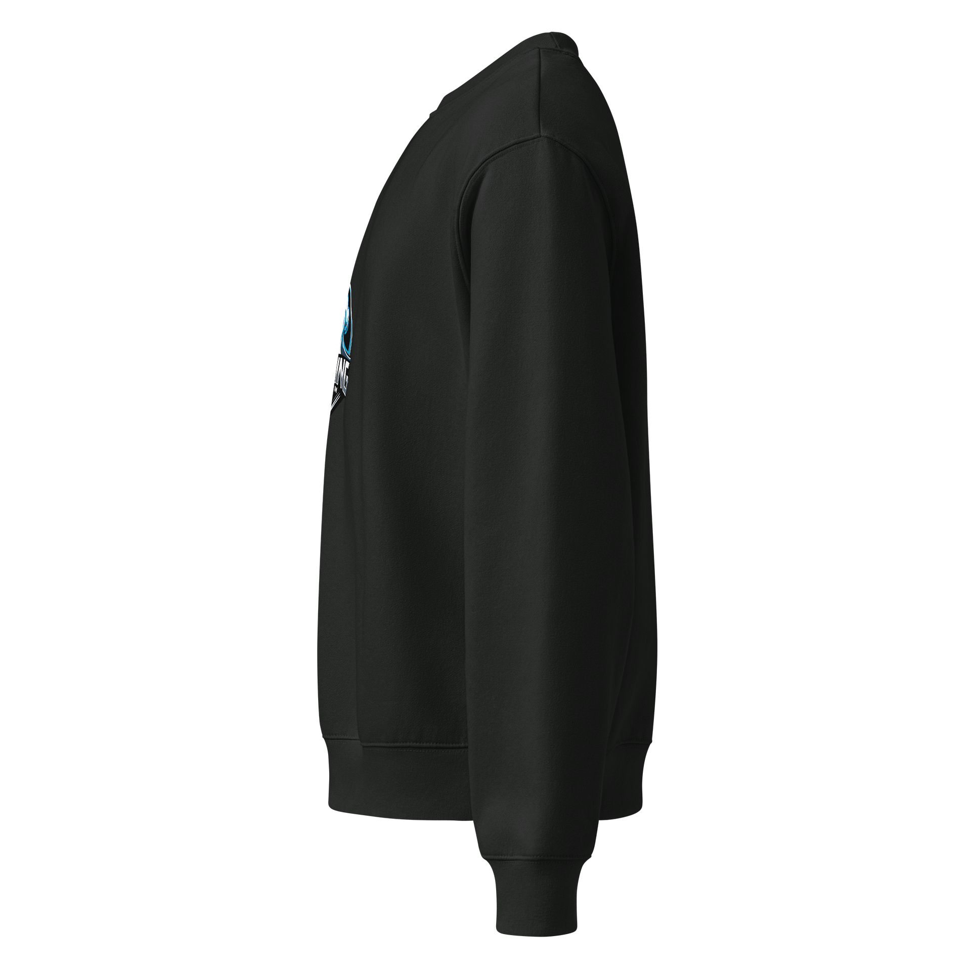 Echoing Storm Sweatshirt #3 product image (3)