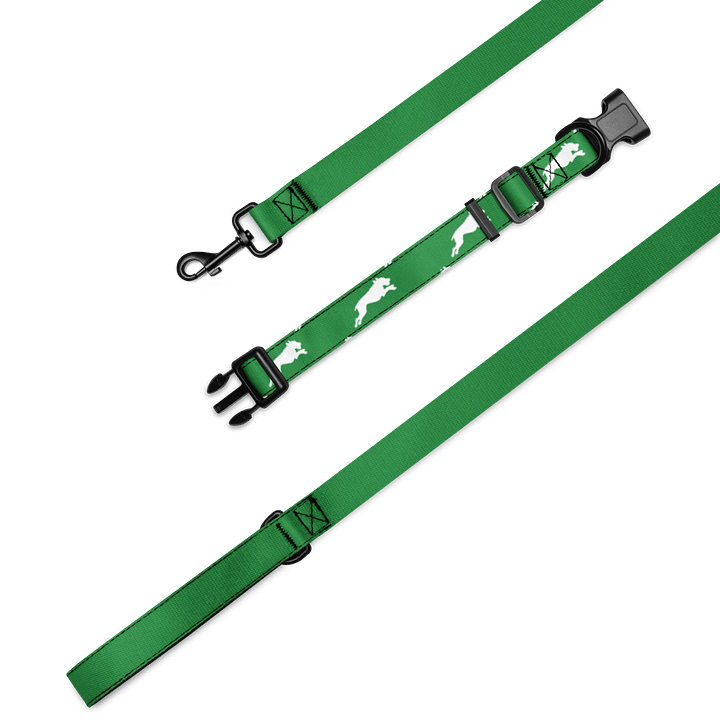Forest Green Collar & Leash product image (1)