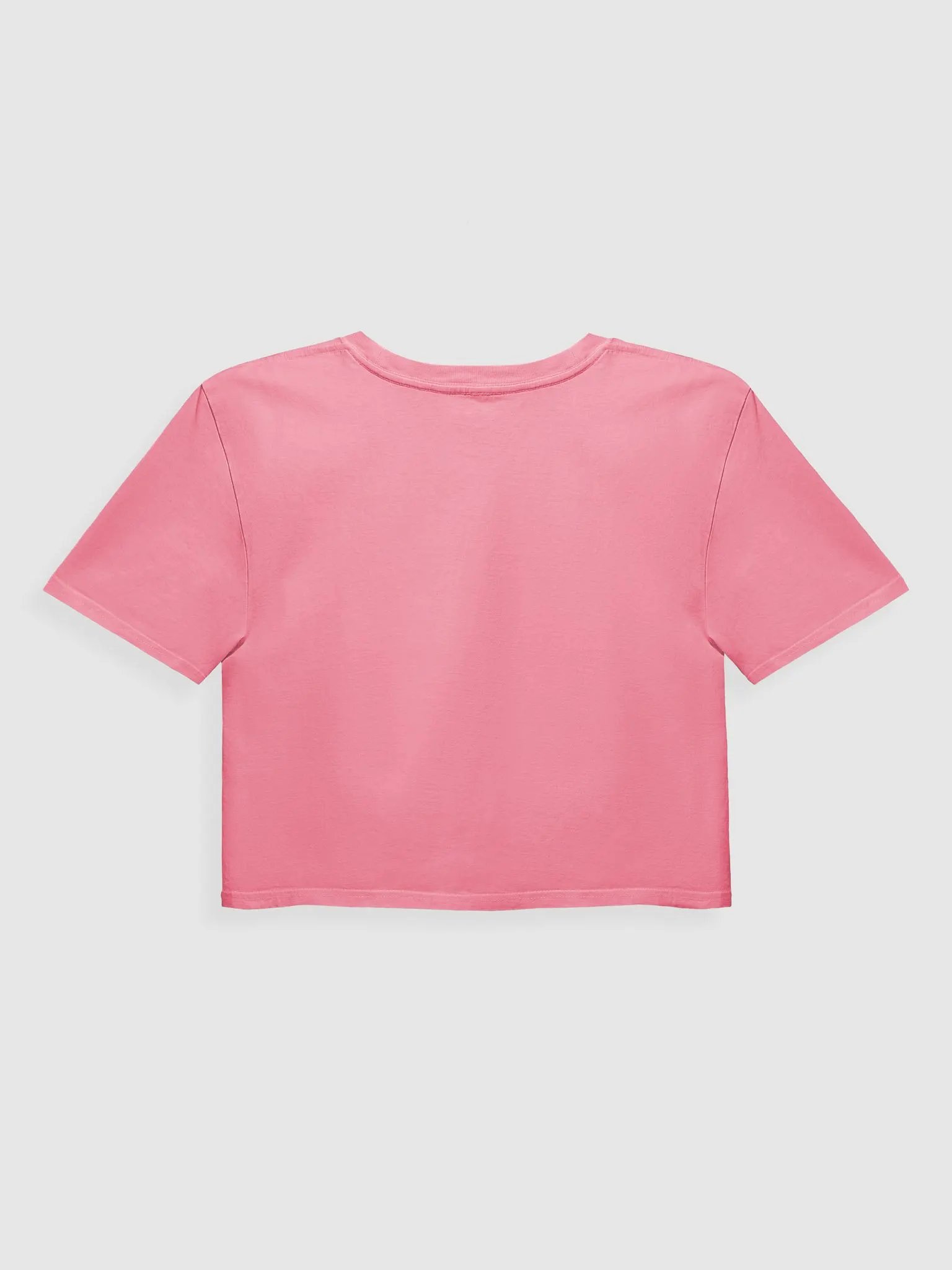 Story Watcher vs. Date Planner - premium CROP t-shirt product image (7)