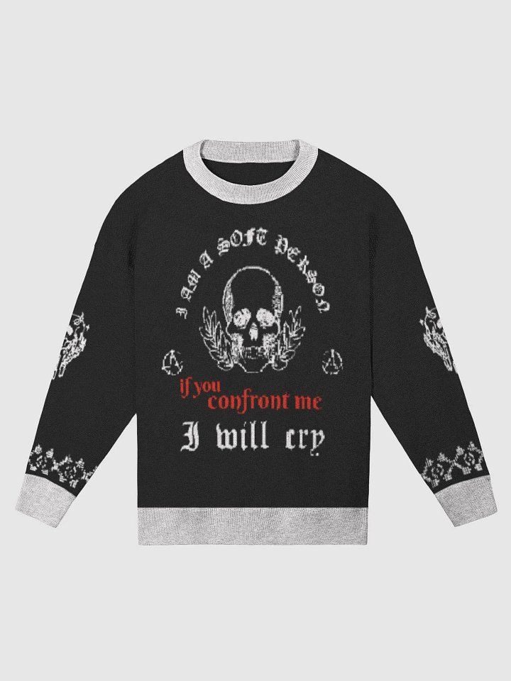 Soft Person knit relaxed fit sweater product image (4)