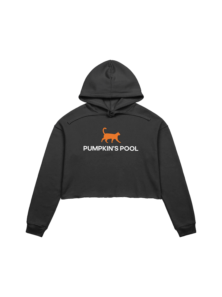 Pumpkin's Crop Hoodie product image (1)