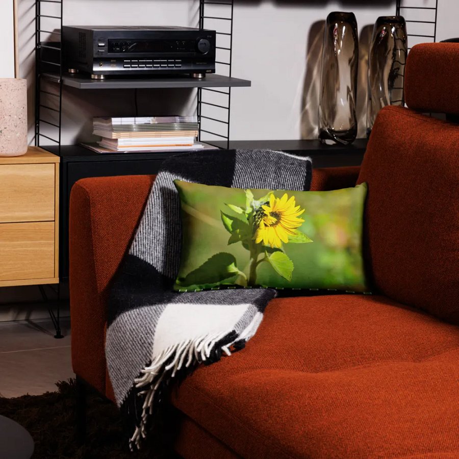 Premium Pillow Case: Sunflower in early autumn product image (12)