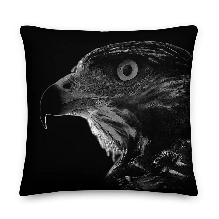 Red-Tailed Hawk I Pillow product image (1)