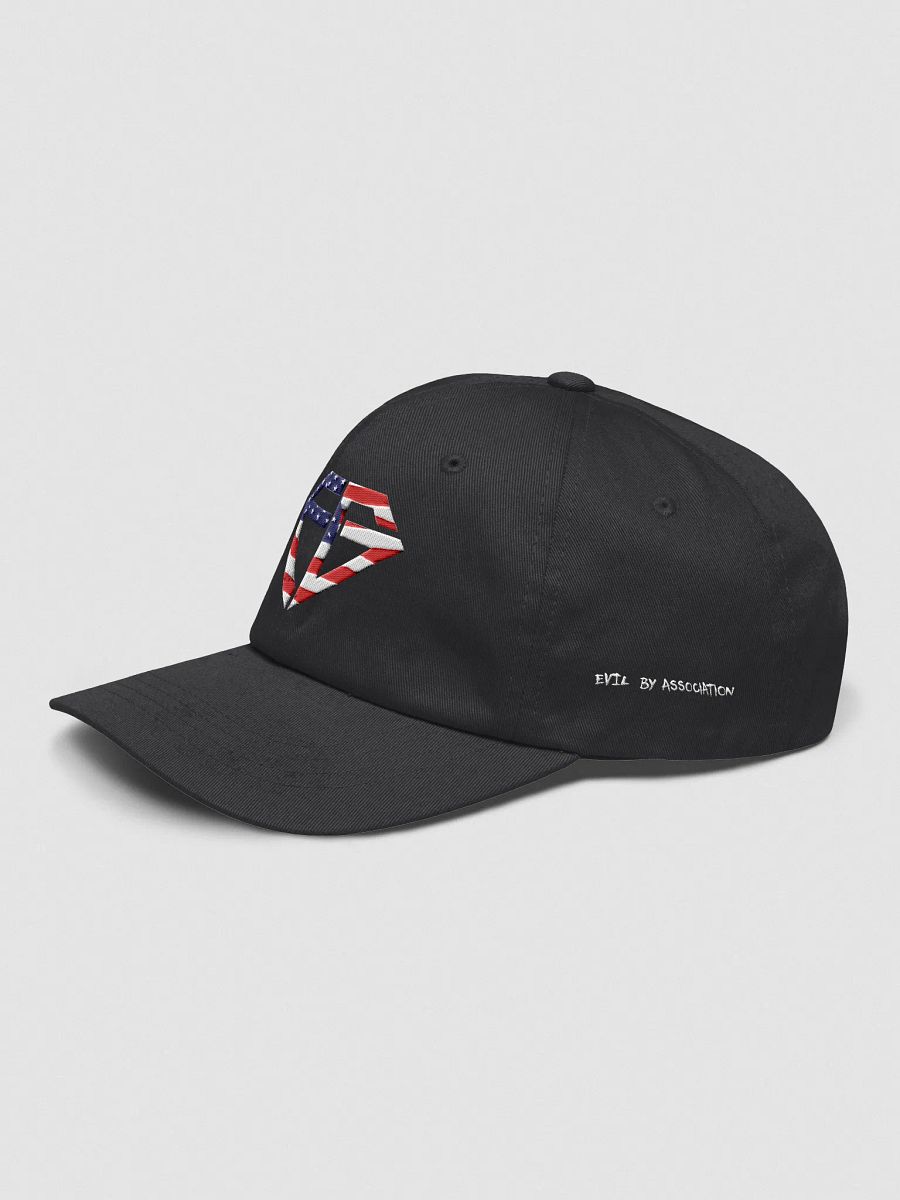 Flag Logo Hat product image (3)