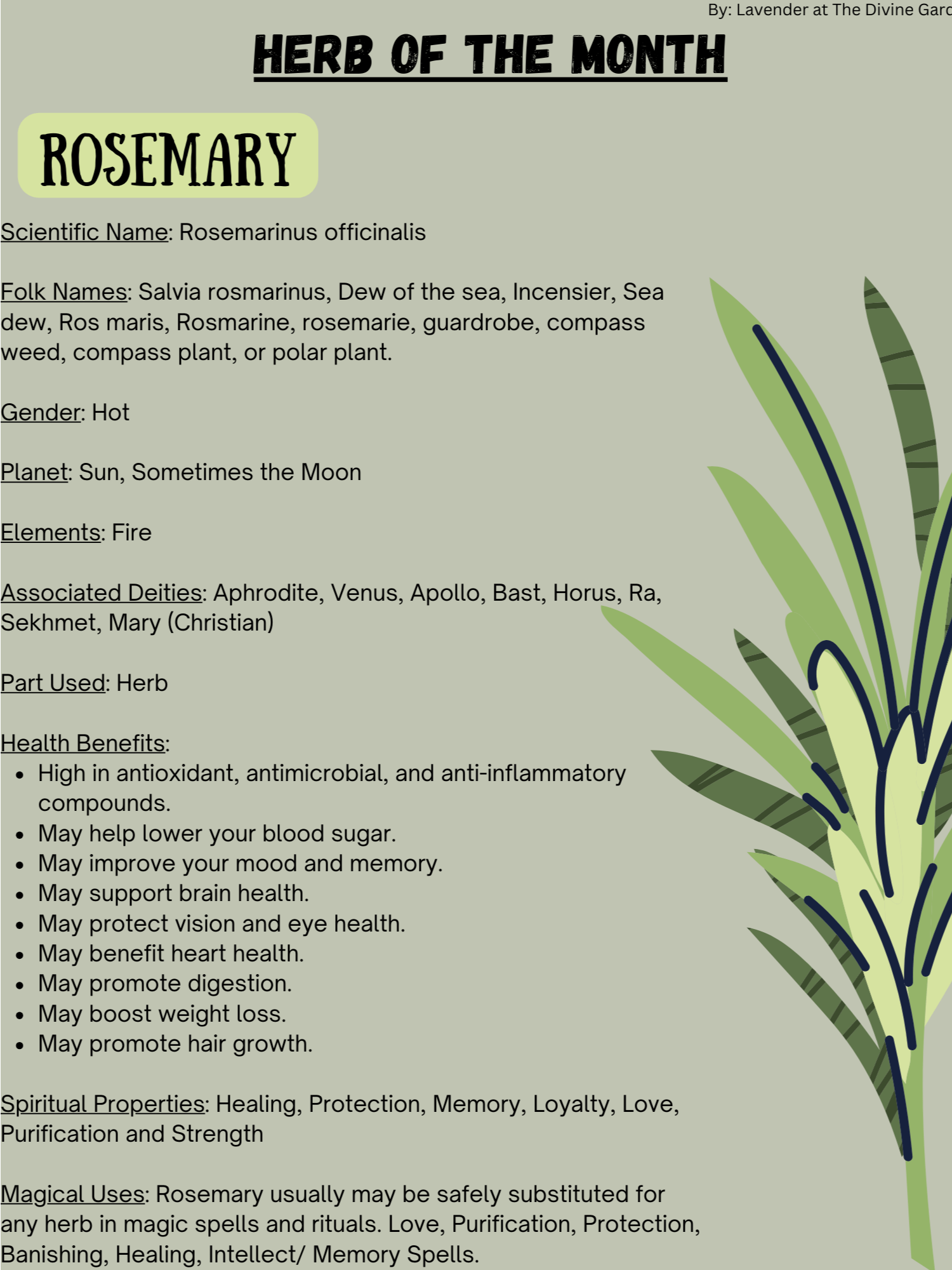 Rosemary product image (1)