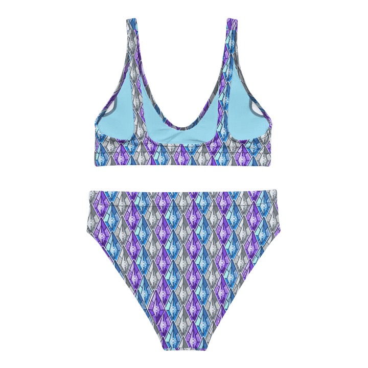 Snowshard Bikini product image (1)