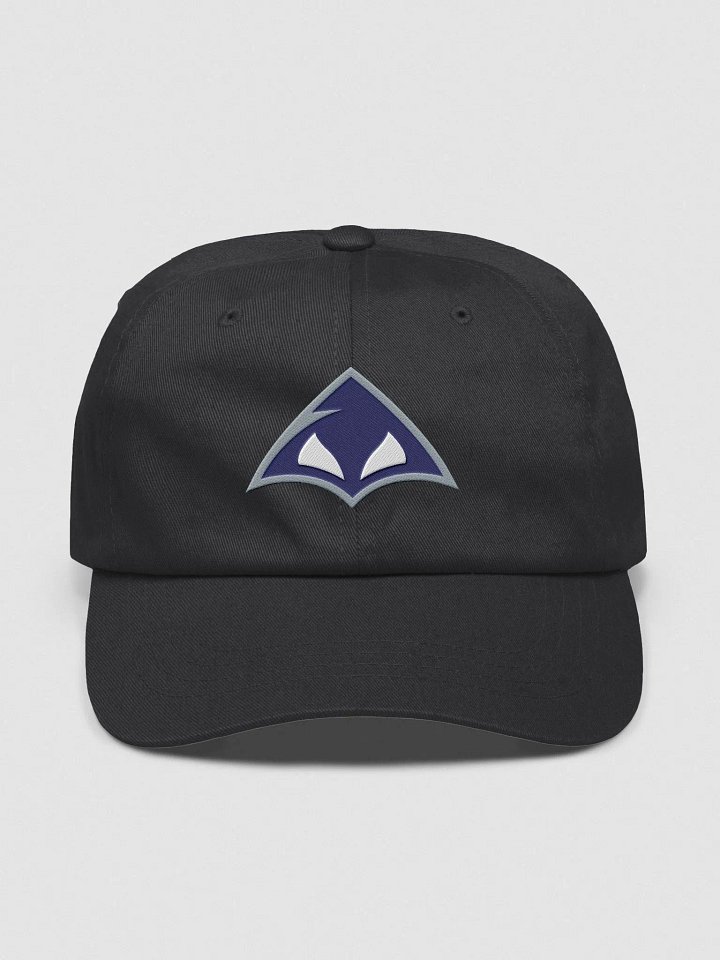 Embroidered Xera Dad Hat product image (3)