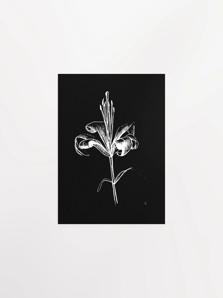 Ethereal Lily Sketch Poster - Fine Flower Dark product image (1)