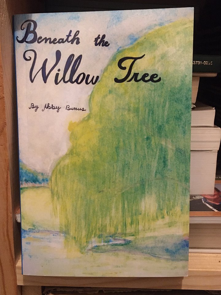 Beneath the Willow Tree (Signed Paperback) product image (2)