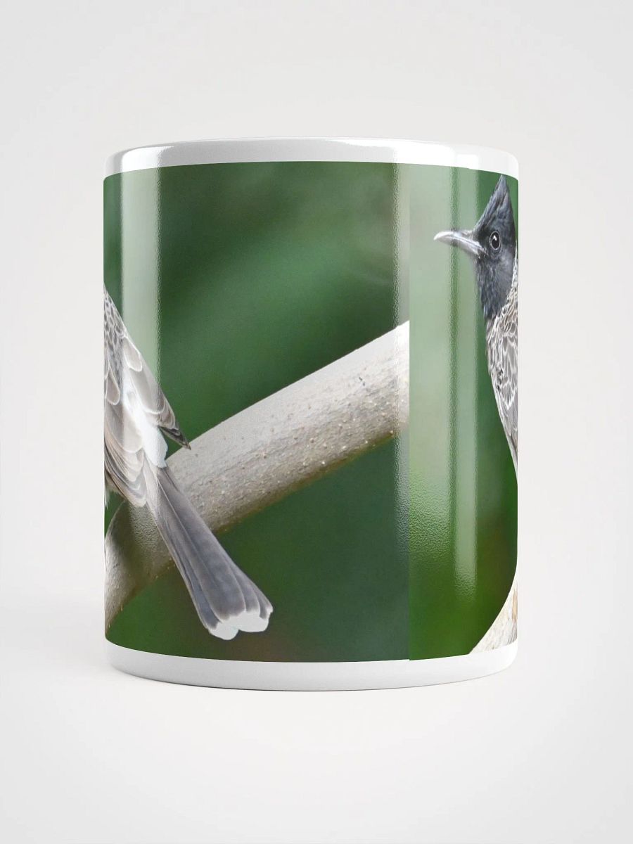 IUCAA Birds MUG product image (5)