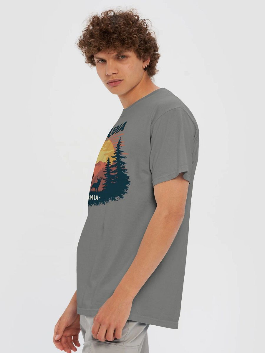 Sequoia Sunset Heavyweight Tee product image (16)