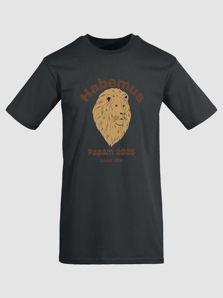 Habemus Papam 2025 Tee product image (1)