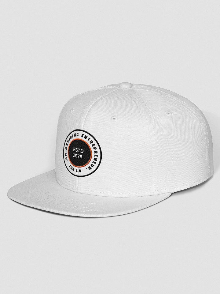TEO 1978 Snapback product image (18)
