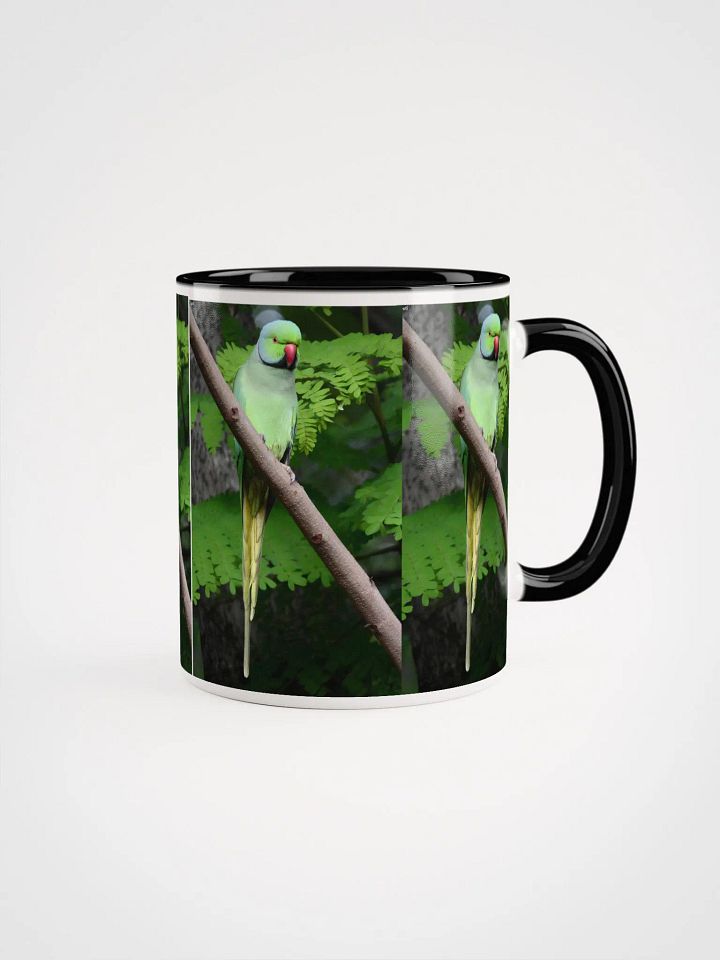 IUCAA Birds MUG product image (1)