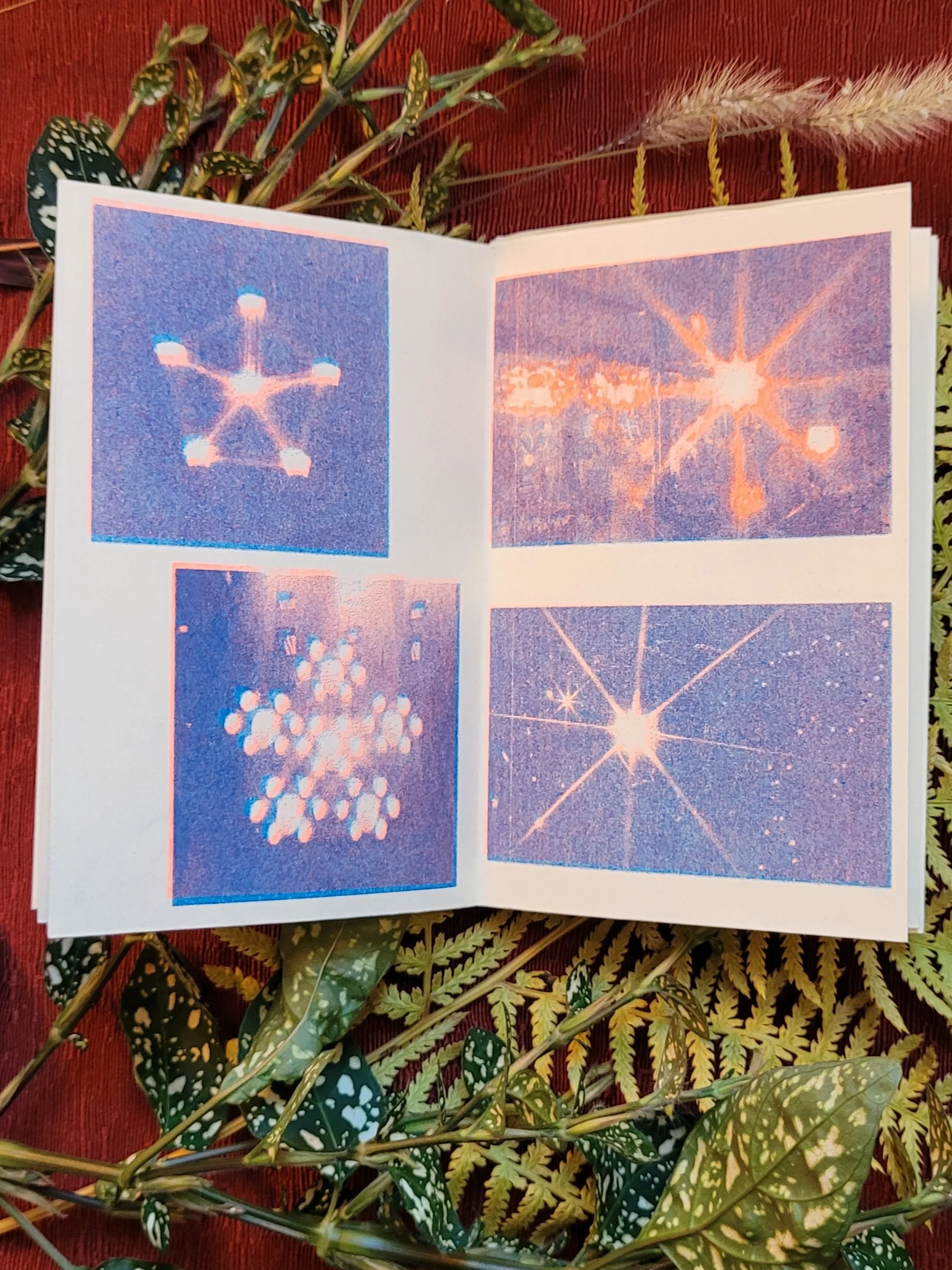 Prism Photo Zine product image (3)