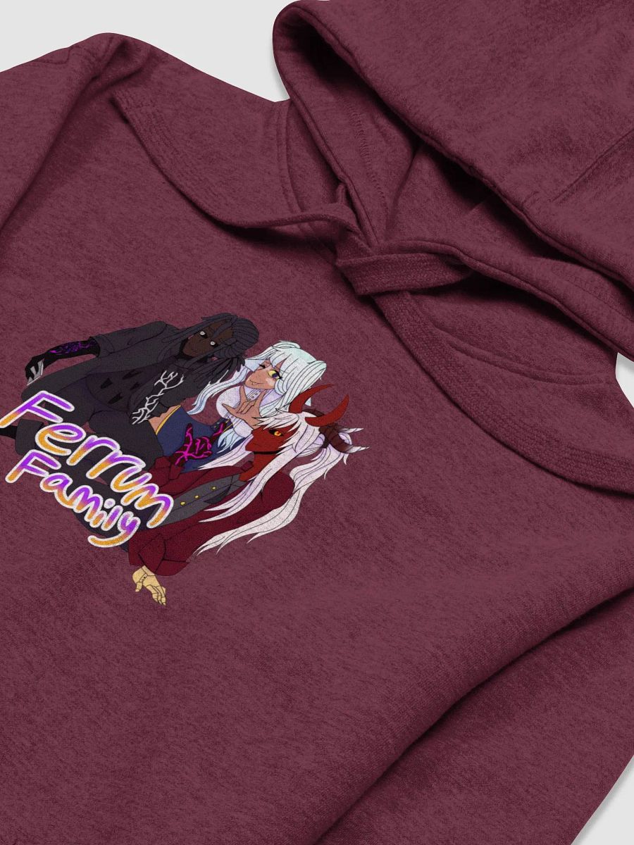 Ferrum Family Hoodie product image (15)