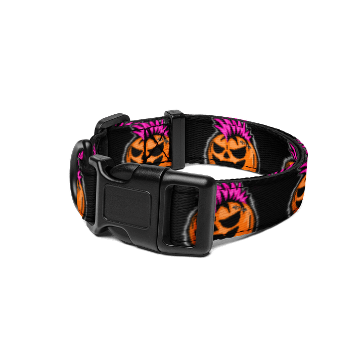 Punkin Pet Collar product image (1)