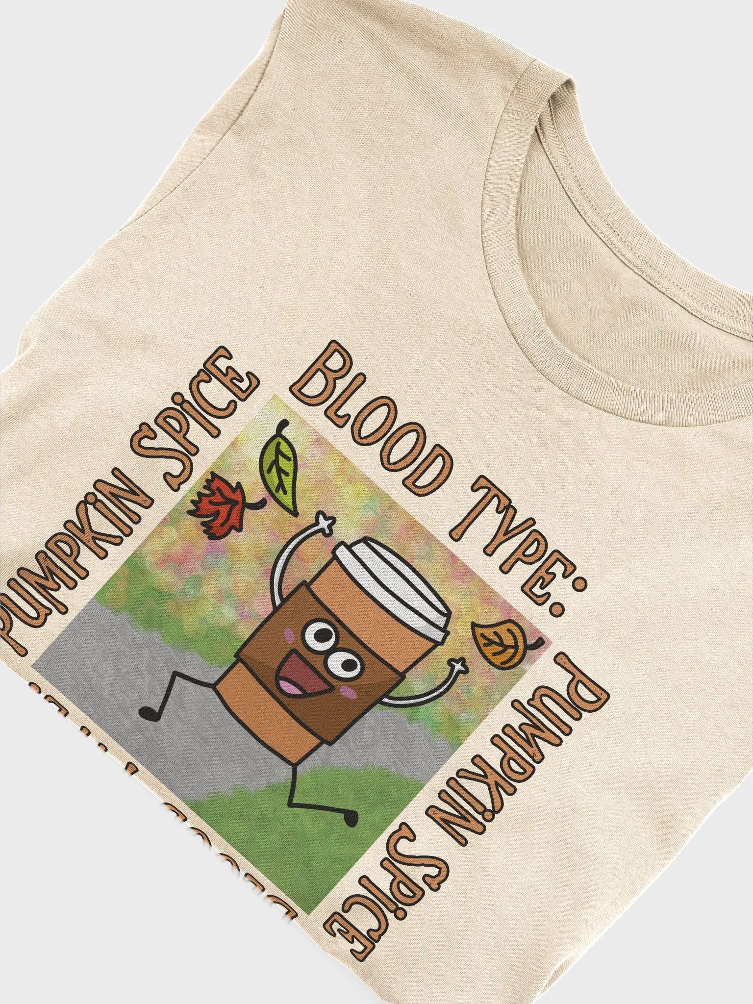 Pumpkin Spice Supersoft Premium T-Shirt product image (3)