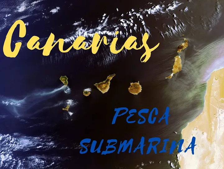 Canarias Pesca Submarina product image (1)