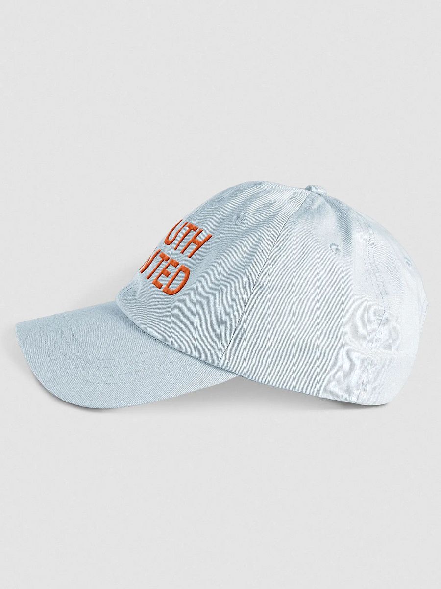 Truth Wanted Pastel Hat product image (10)