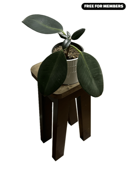 [Build Plans] Two Plant Stands From Three 2x4s product image (1)