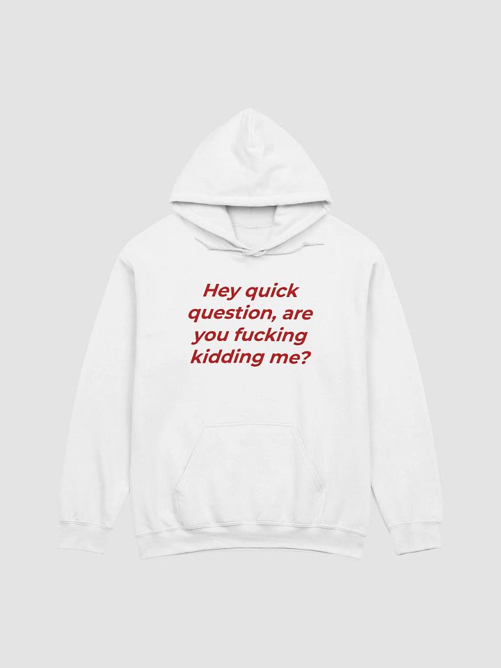 Hey Quick Question, Are You Fucking Kidding Me Hoodie product image (1)