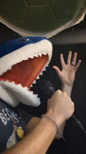 SHARK METAL! 🤘🦈
I'm finally learning enough recording to be dangerous! I'm working on tracking a few shark themed metal songs...
