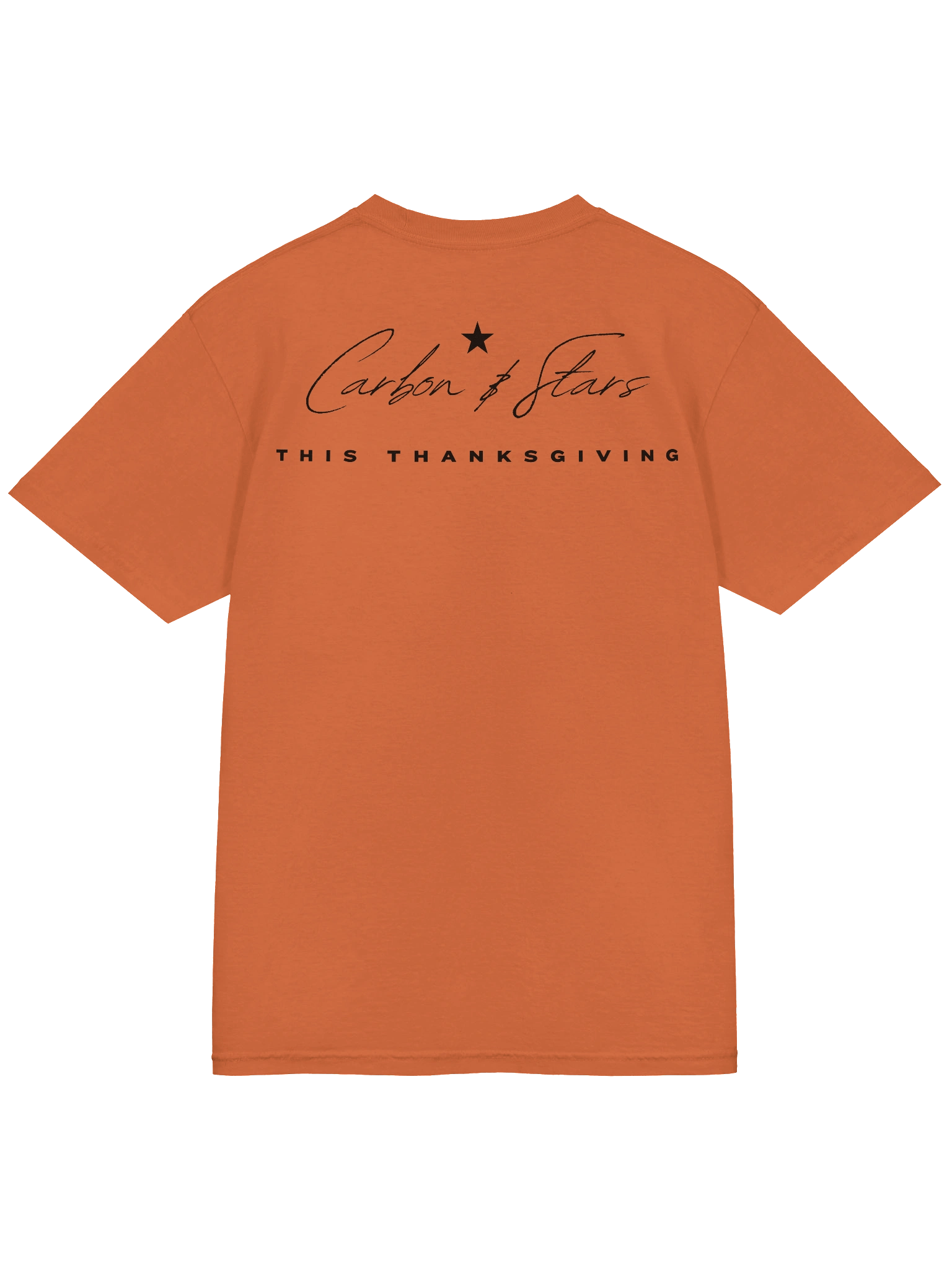 Plain Thanksgiving _ T Shirt product image (4)