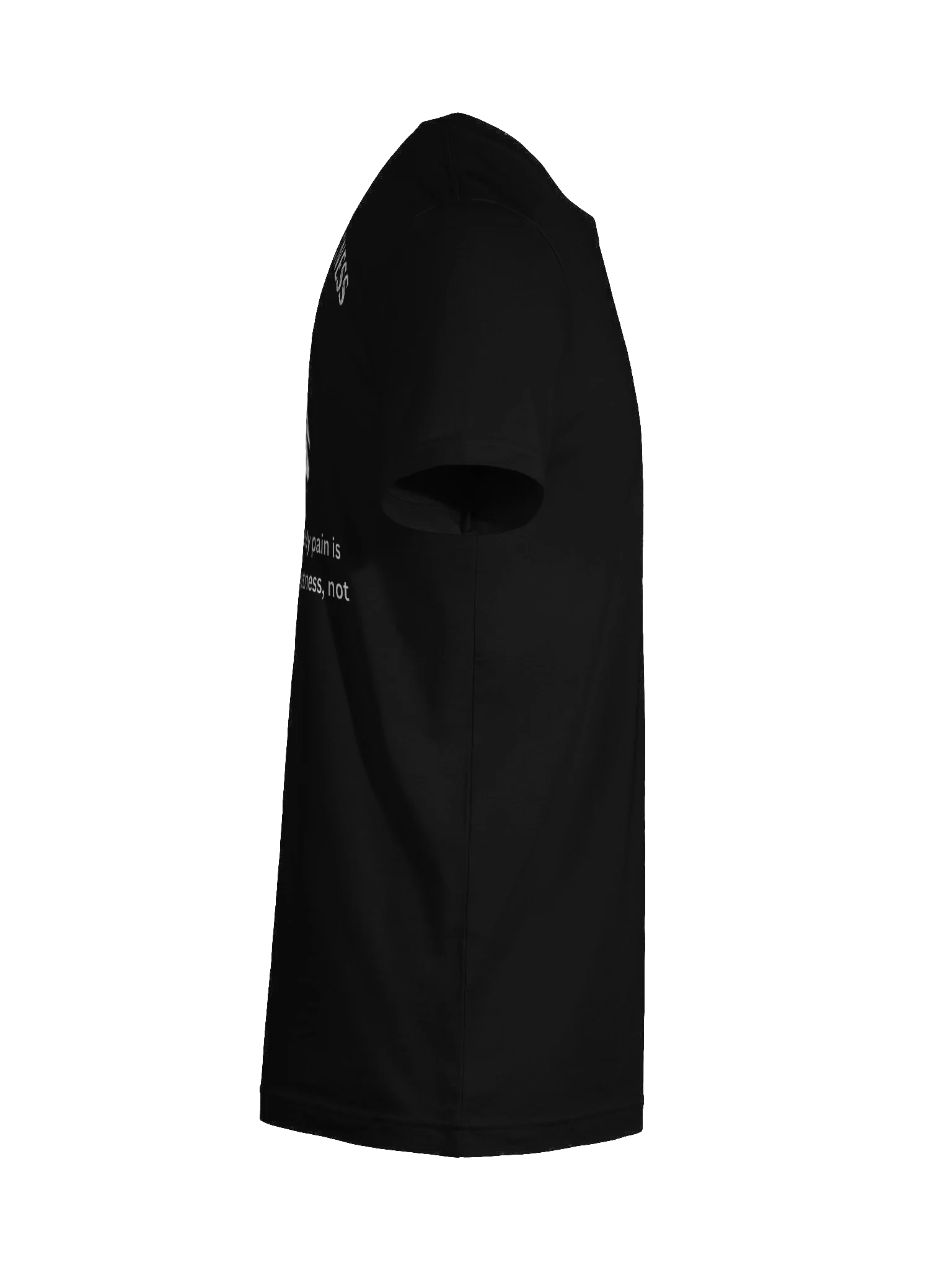 Raven Sigils Chase Greatness Tee product image (12)