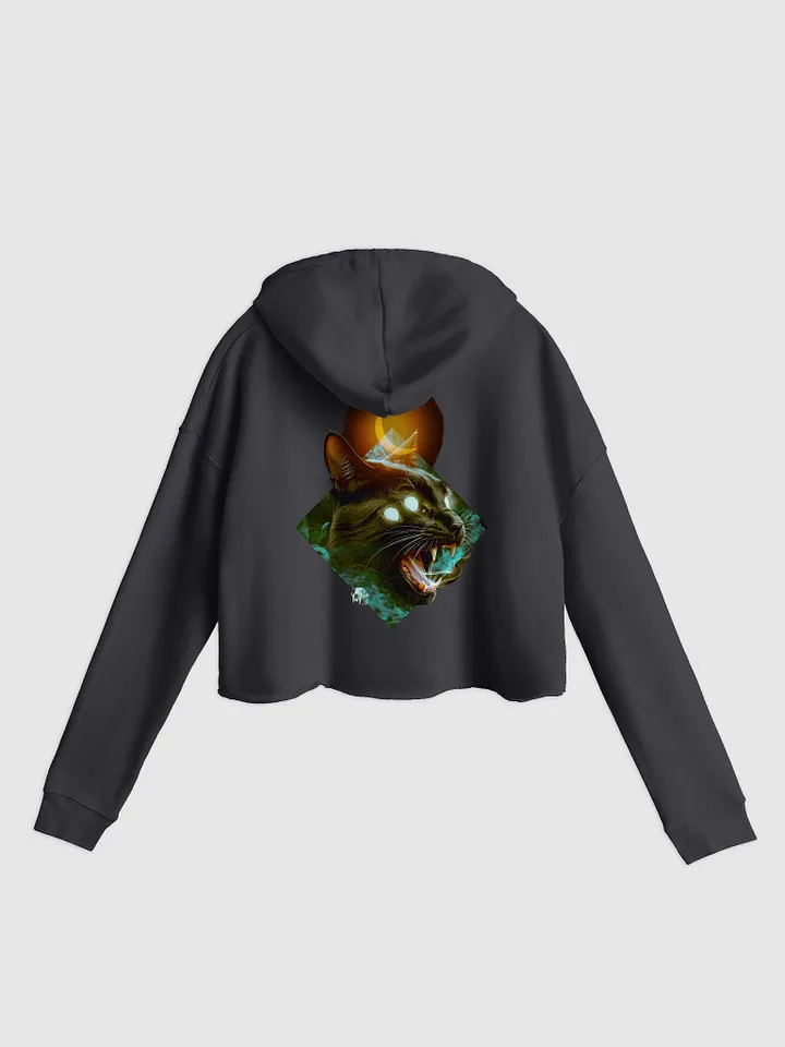 Charmed Cropped Hoodie product image (1)
