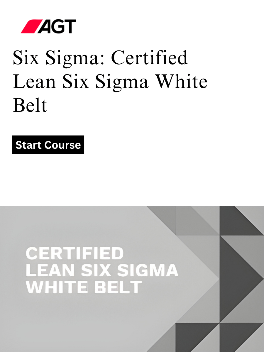 Six Sigma: Certified Lean Six Sigma White Belt product image (1)
