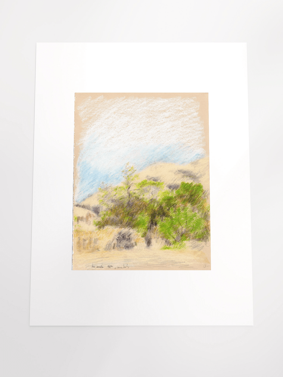 Leo Carillo State Park, CA #1 09.08.86 print product image (5)