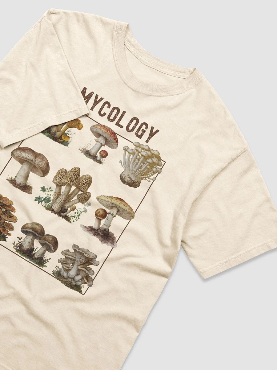 Mycology Mushroom Graphic T-Shirt - Fungi Enthusiast Tee product image (3)